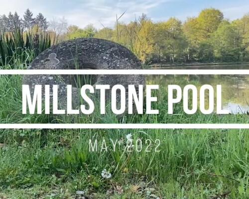 Richard Stangroom's Millstone Pool Carp Fishing Video