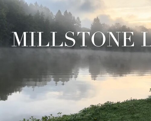 Carp Quest Millstone Pool video